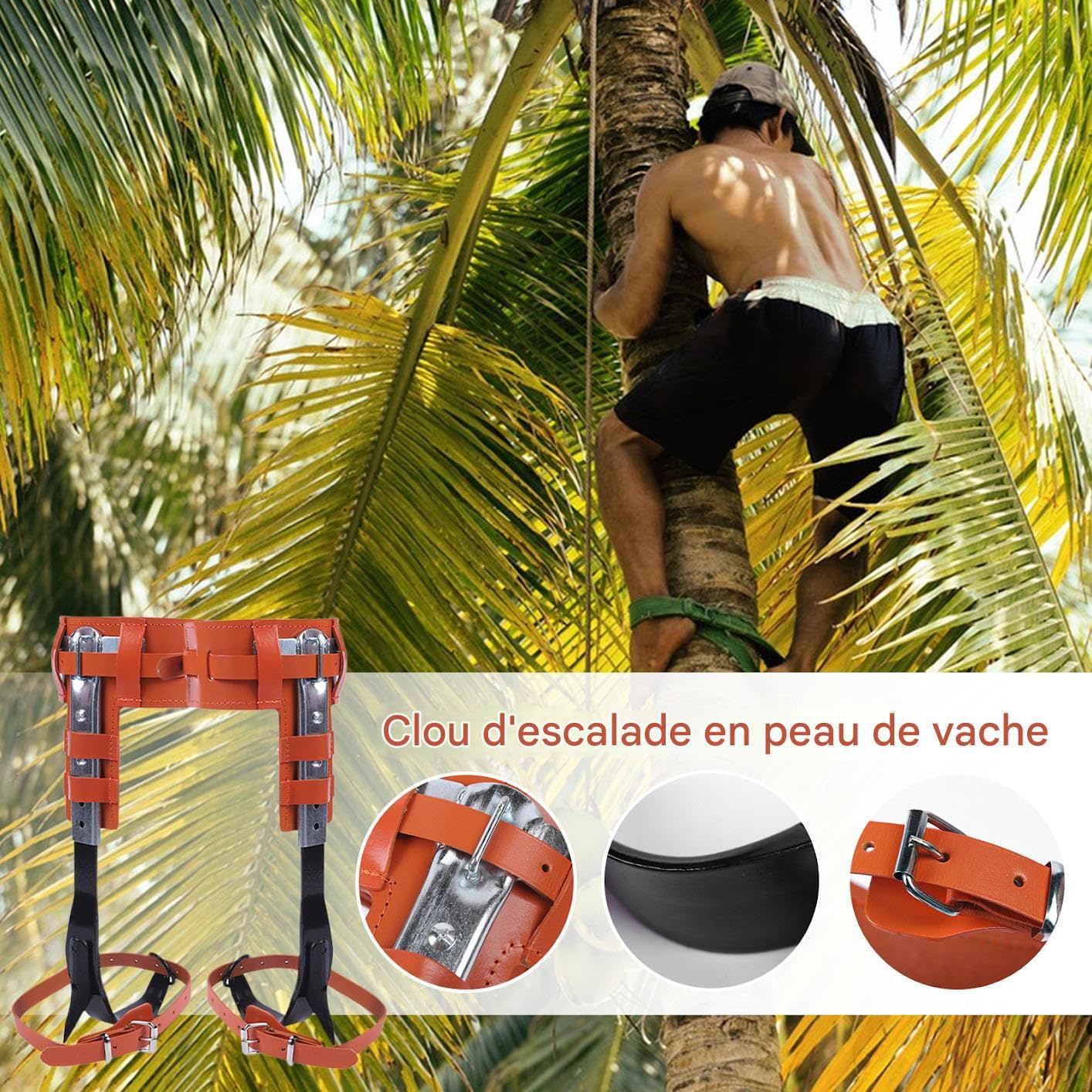 Crampons d'Escalade pour Arbre Ergonomique, Hauteur Réglable, Loisirs Plein