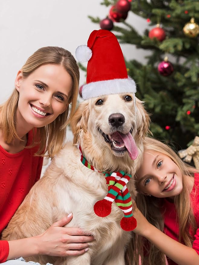 Gorro y bufanda navideños para perro Syhood talla S miniatura 7