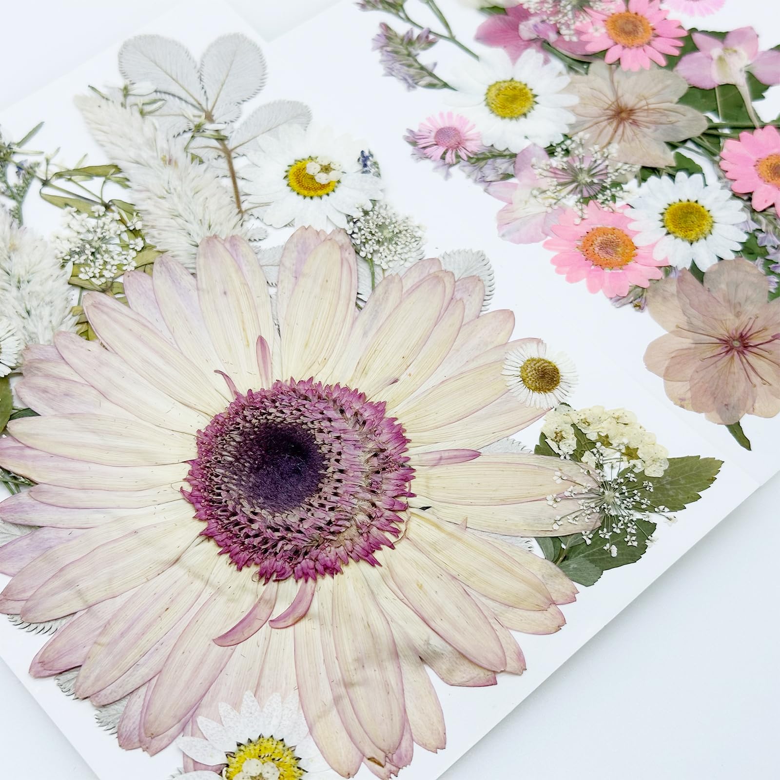 Tłoczone kwiaty, naturalne, suszone kwiaty, różowe kwiaty z żywicy, prawdziwe prasowane kwiaty do scrapbookingu, DIY, rzemiosła artystycznego, żywicy epoksydowej, artykuły jubilerskie, 44 szt