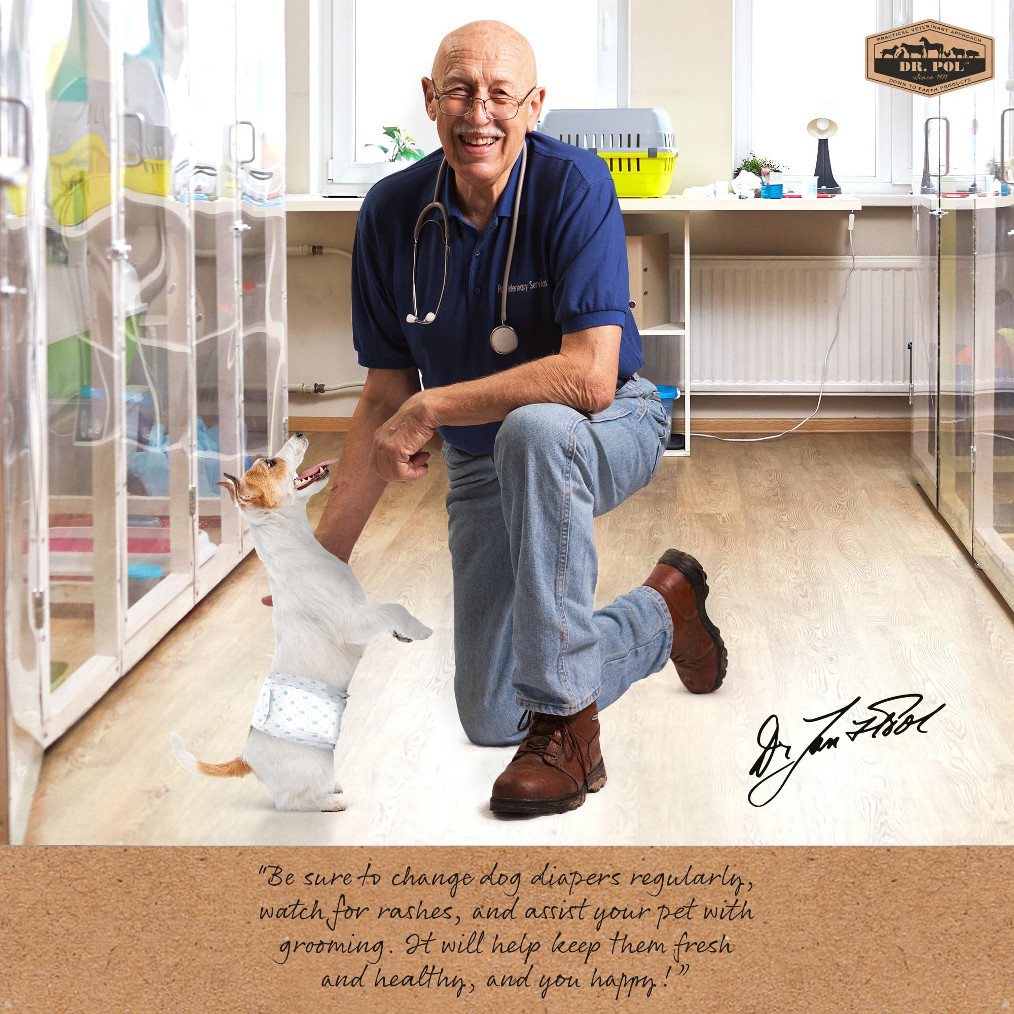 Dr. Pol Pañales para Perros machos, superabsorbentes, Transpirables, a Prueba de Fugas, con indicador de Humedad, XS, 50 Unidades