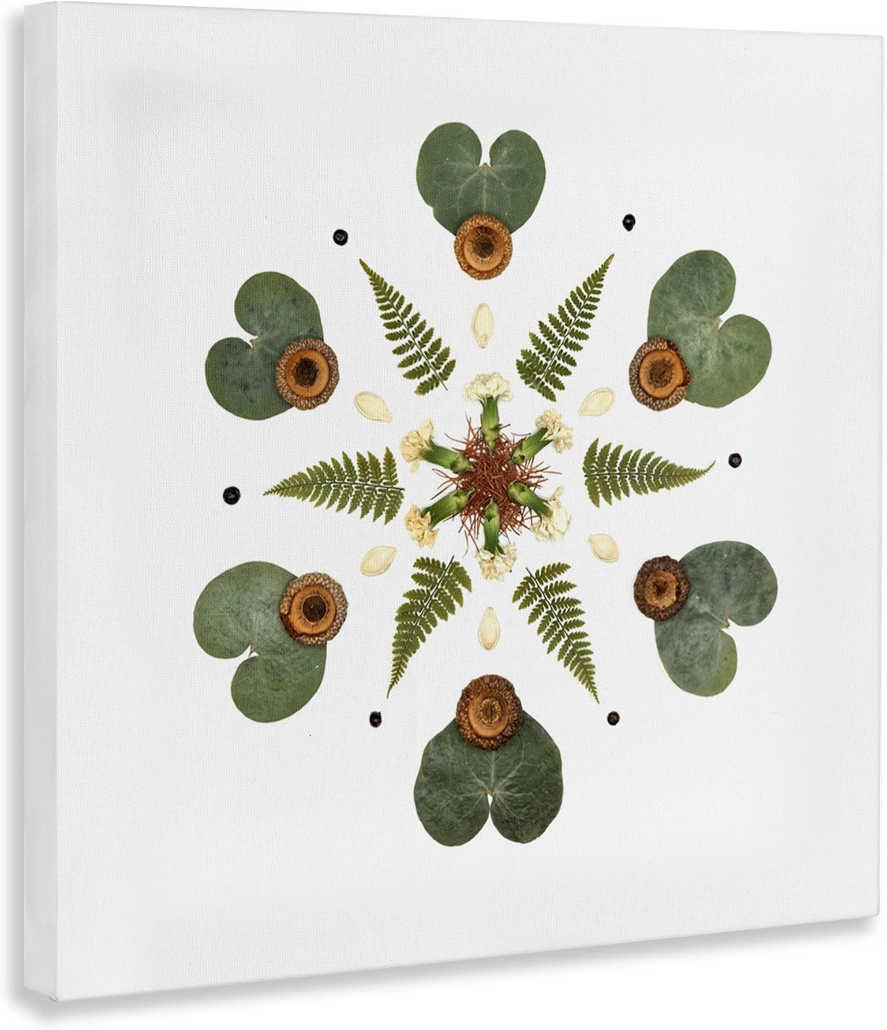 'Lily Pad & Fern Mandala'| Canvas Art | Stupell Industries | 24 x 24 Inches, Easy to Hang and Sturdy, Made in USA, by Beth Adoette