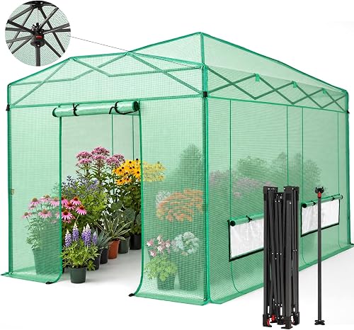 best greenhouse for vegetables in Chattanooga, TN