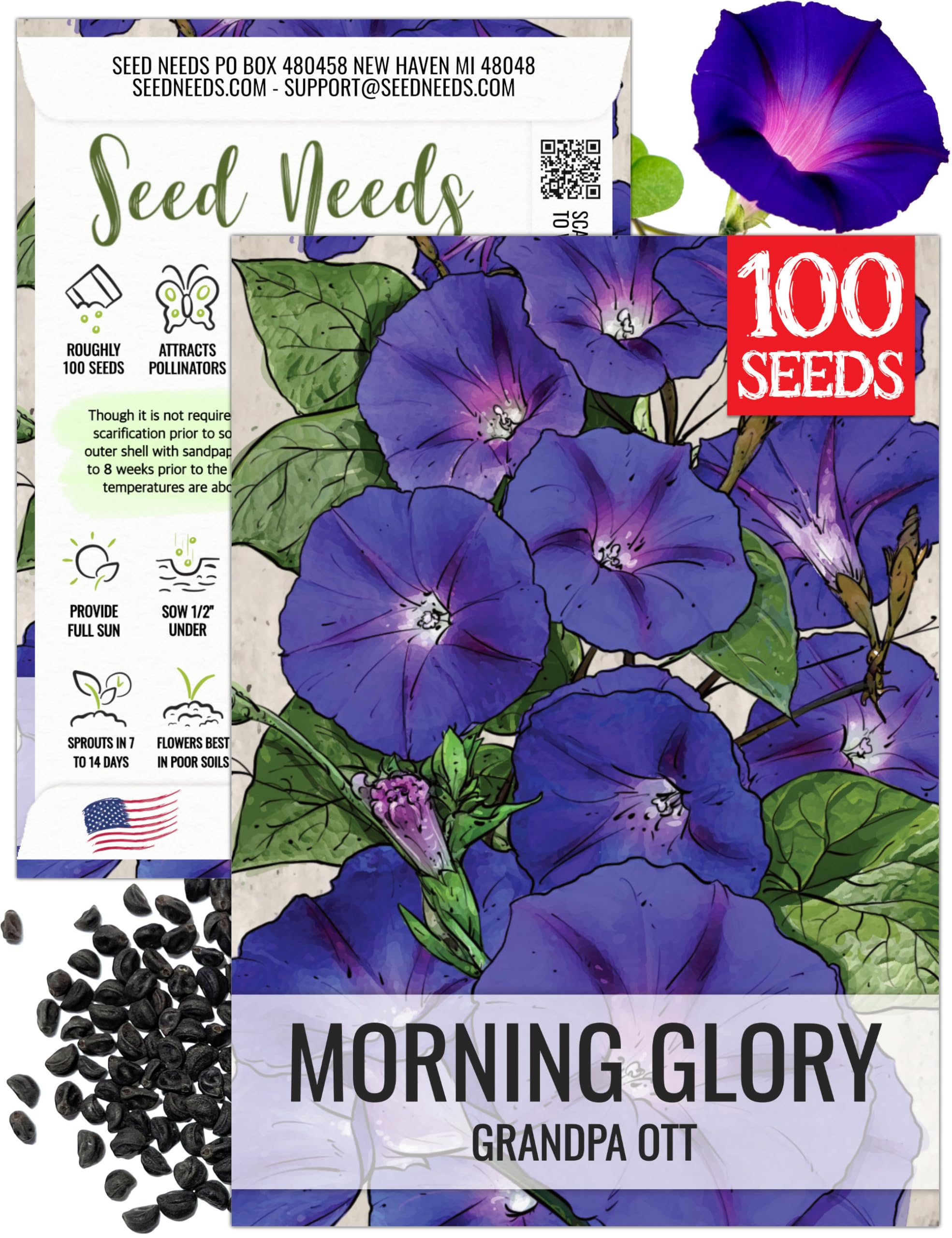 Amazon.com : Seed Needs Grandpa OTT Morning Glory Seeds to Plant