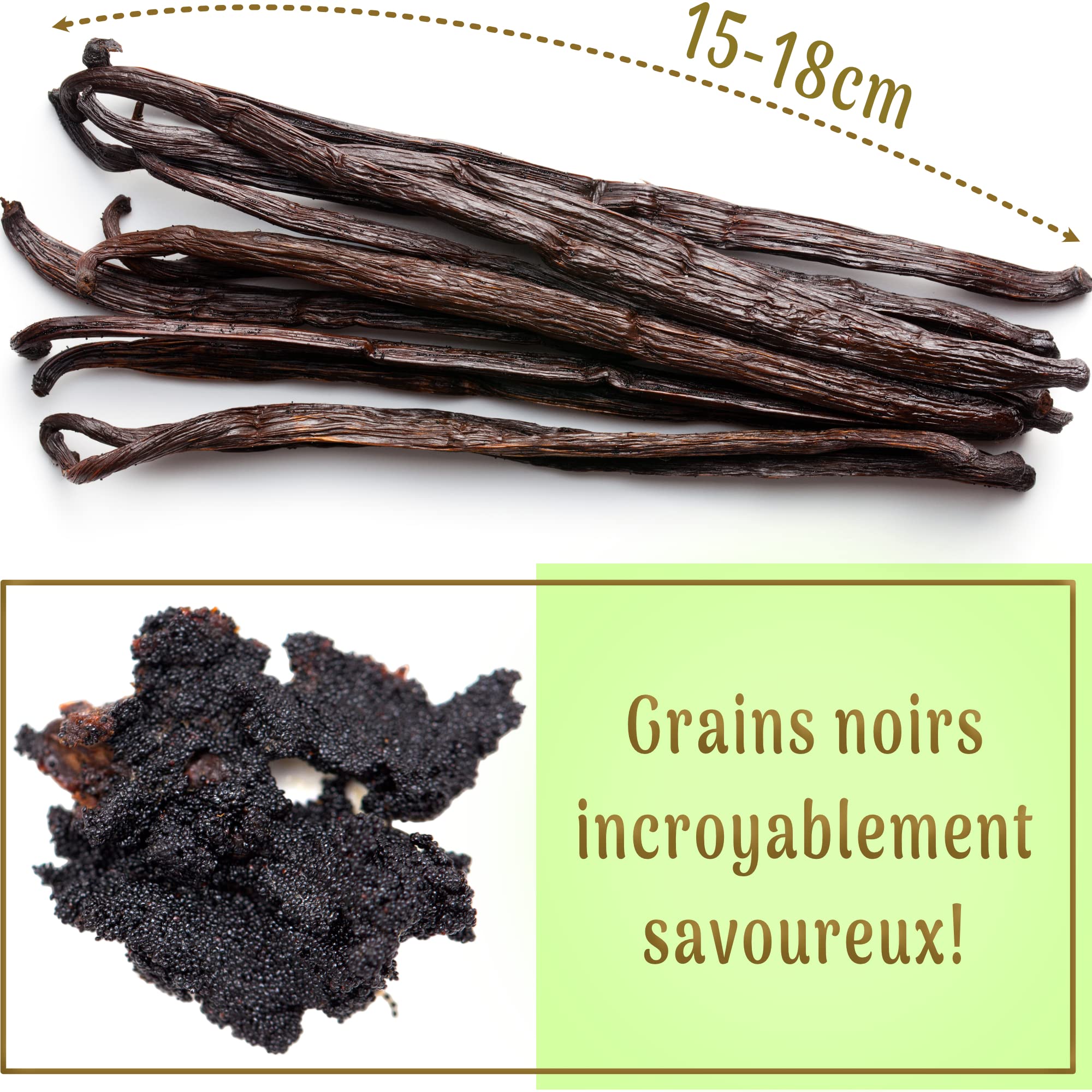 15 Gousses XL • Vanille Bourbon BIO de Madagascar • GRAND CRU • FreshZIP