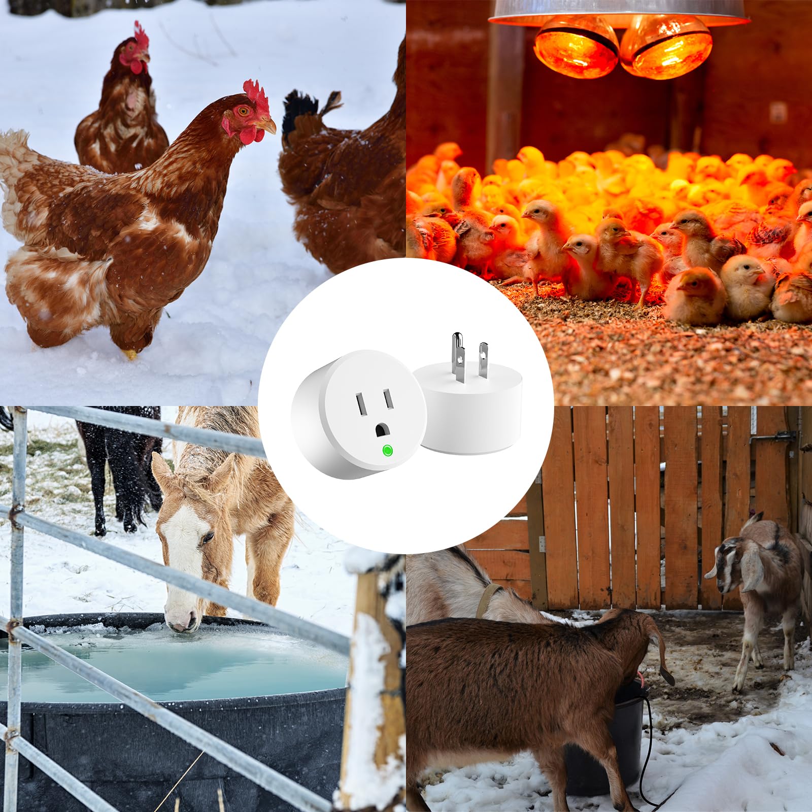 Wylot sterowany termostatem – włączanie przy temperaturze -0.0 °C/wyłączone przy 10.0 °C, wylot wtyczki termostatu, nie ma potrzeby ręcznego zamykania, do podgrzewacza wody dla kurczaków, podgrzewacza