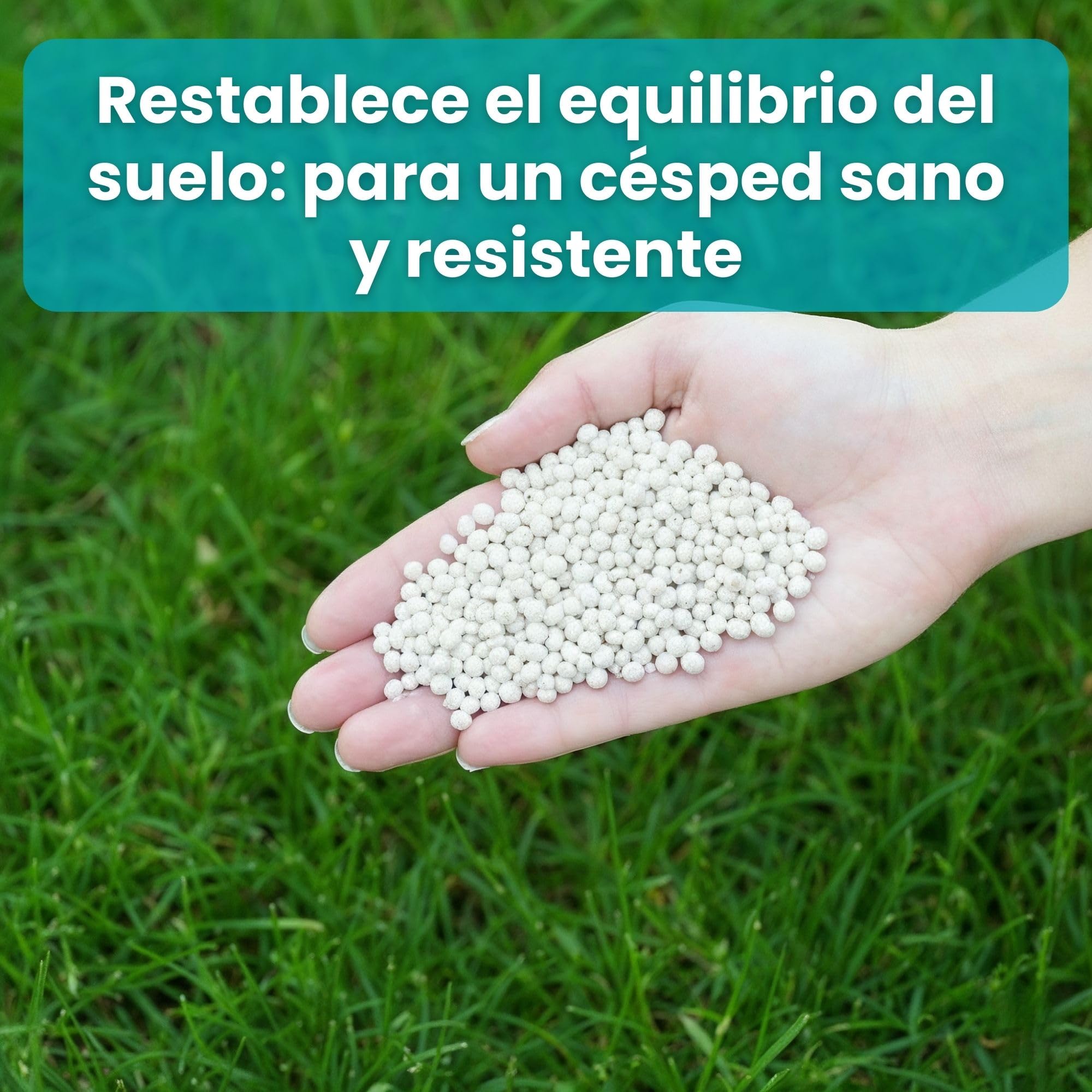LERAVA Revive (9 kg) - Cal para césped para equilibrio óptimo del pH - enmienda calcárea para mejorar la estructura y fertilidad del suelo- aporte natural de calcio para césped denso y resistente