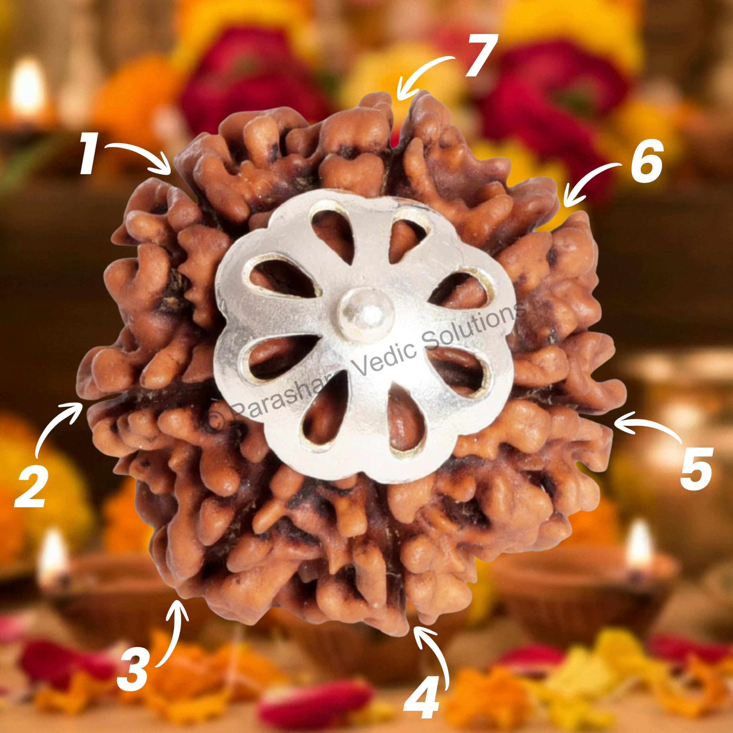 ARKAM Seven Mukhi Rudraksha Certified/Original Nepali 7 Mukhi Rudraksh/Natural 7 Faced Rudraksha with Silver Pendant (Brown) with Certificate and Puja Instructions 4