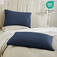 Vista 361 de PHF Fundas de almohada 100% algodón con tejido de gofre de 24 x 24 pulgadas, paquete de 2 fundas cuadradas para decoración elegante del hogar, sin
