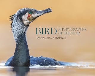Bird Photographer of the Year: Collection 10