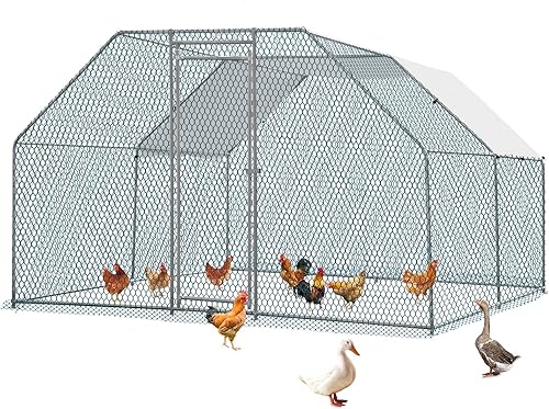 Outvita Gallinero, casa grande de metal para pollos de 13 x 10 pies, jaula de hábitat de aves de corral con cubierta impermeable, corral de pollo