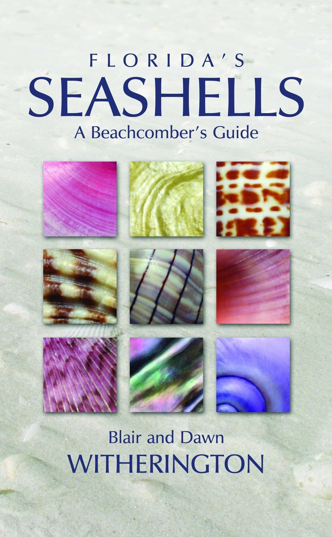 Florida's Seashells: A Beachcomber's Guide