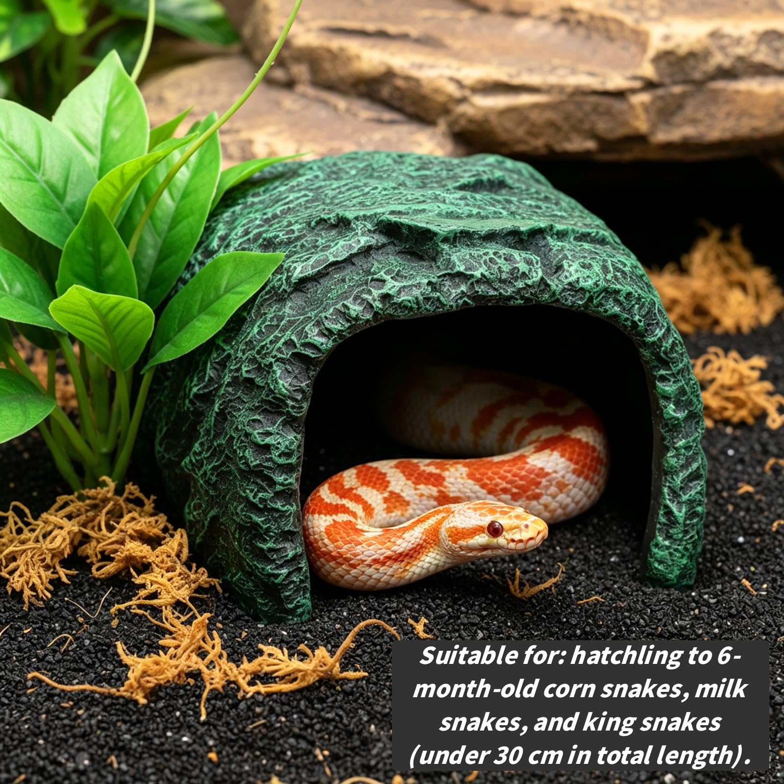 Cididu Cueva de roca para reptiles, hábitat de resina oculto para decoración de terrarios y acuarios, escondite verde para dragones barbudos, lagartos, serpientes, gecos, tortugas, animales pequeños