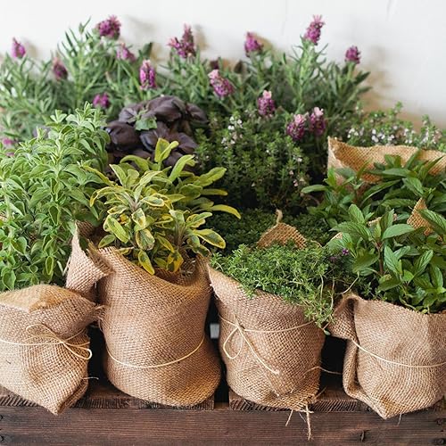 Miniatura 7 de Rollos de tela de arpillera natural multiusos de 40 pulgadas x 20 pies, rollos de arpillera de jardinería para decoraciones, bodas, paisajismo, hogar