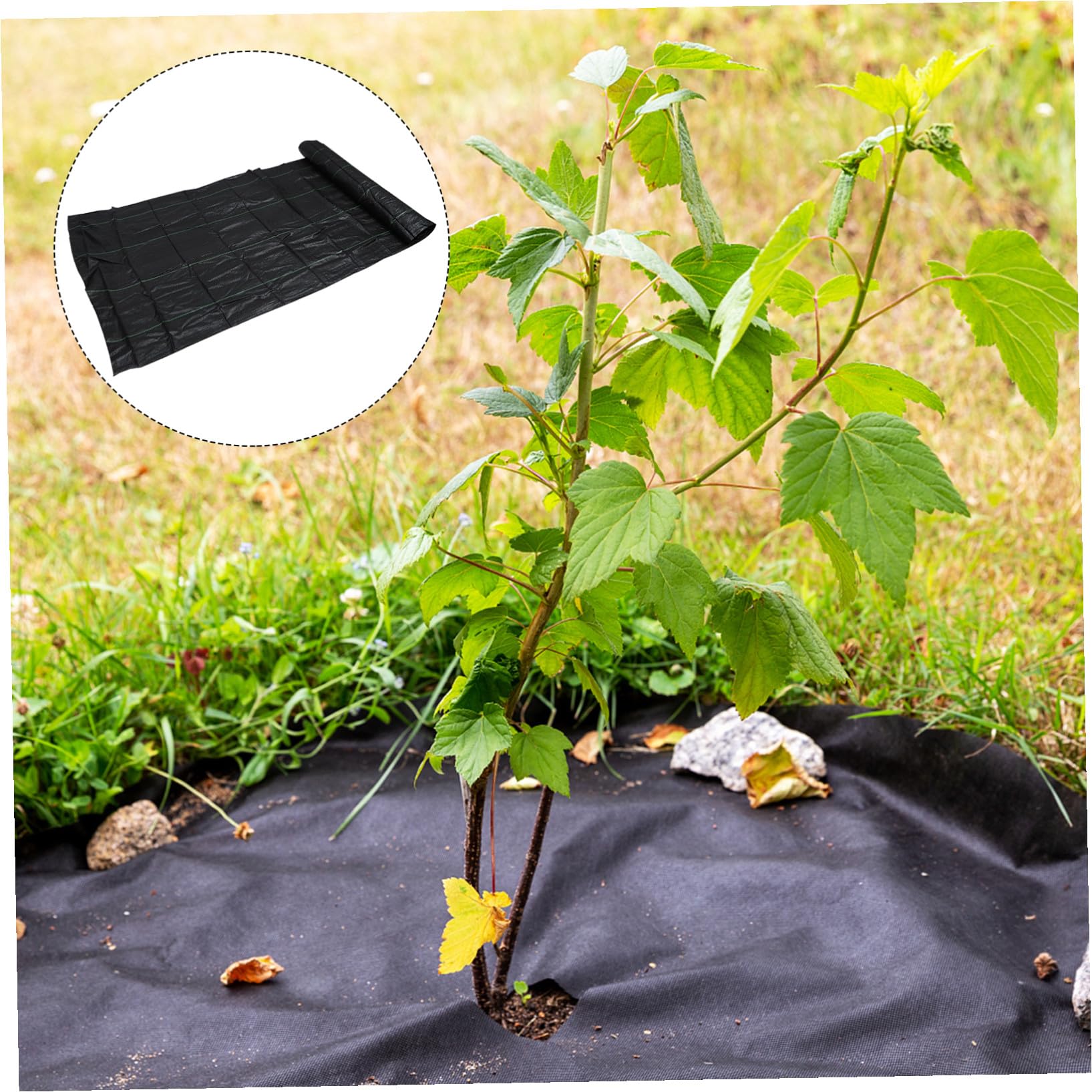 SEWACC Lona Protectora para Jardín con 10 Estacas de Fijación, PP Negro