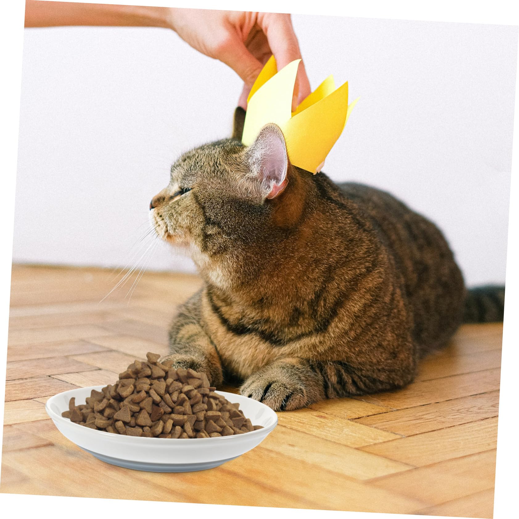 Ciotole per Gatti Piatte Antiscivolo, Set 3 Pezzi in Ceramica | Bordo Basso e Forma Ampia, per Mici Piccoli, Supporto per Pappa e Acqua