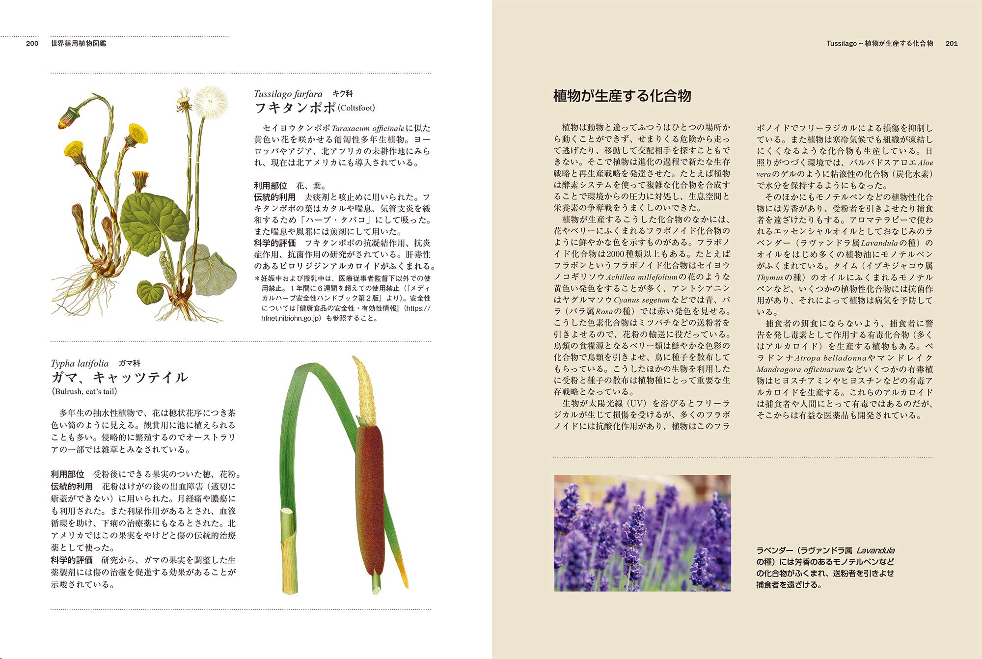 イギリス王立植物園キューガーデン版 世界薬用植物図鑑 シモンズ モニク ハウズ メラニー ジェイン アーヴィング ジェイソン 譲治 柴田 本 通販 Amazon