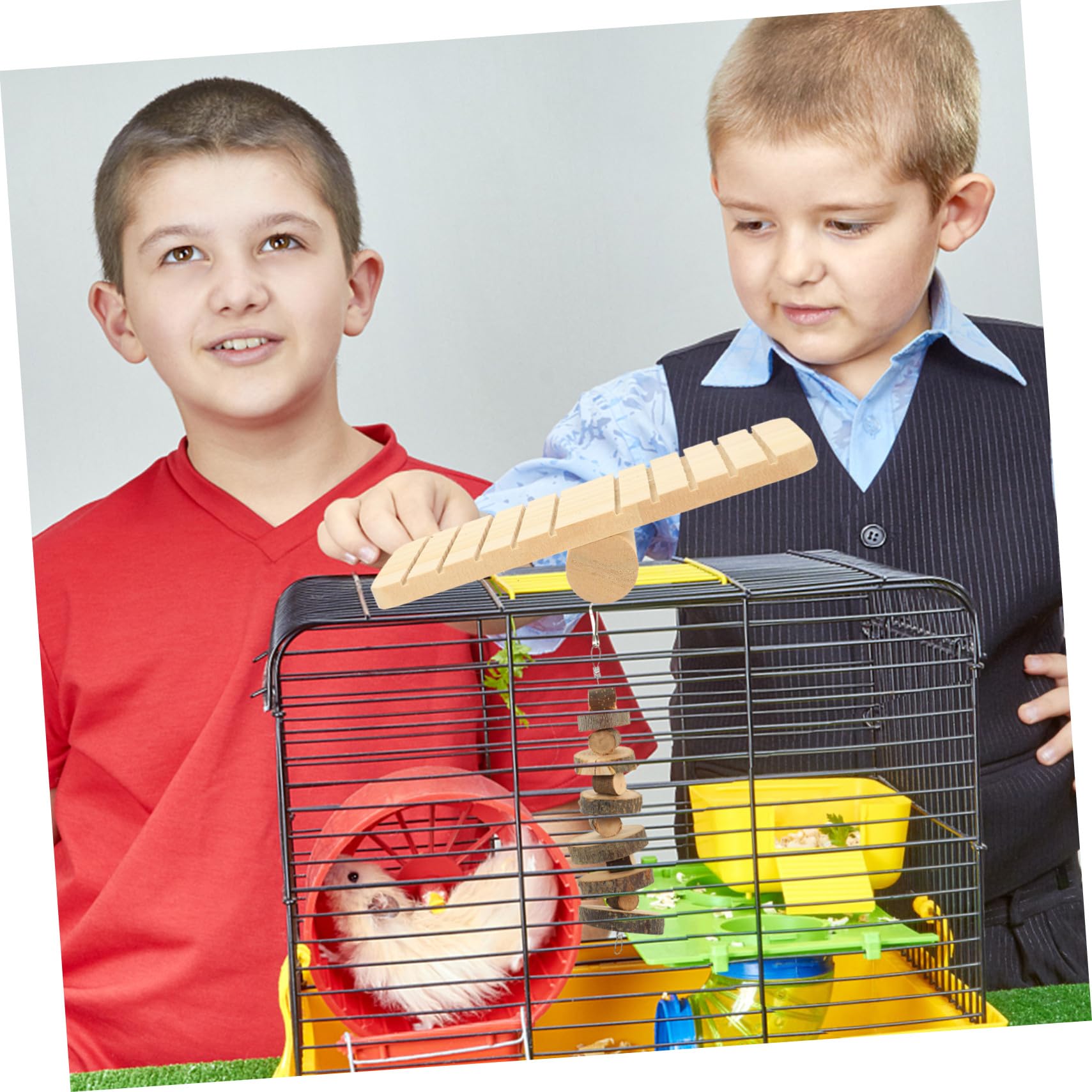 Jouets à Mâcher pour Petits Animaux Jouets Confortants pour Rongeurs Hamsters et Cochons Accessoires Durables pour Cage
