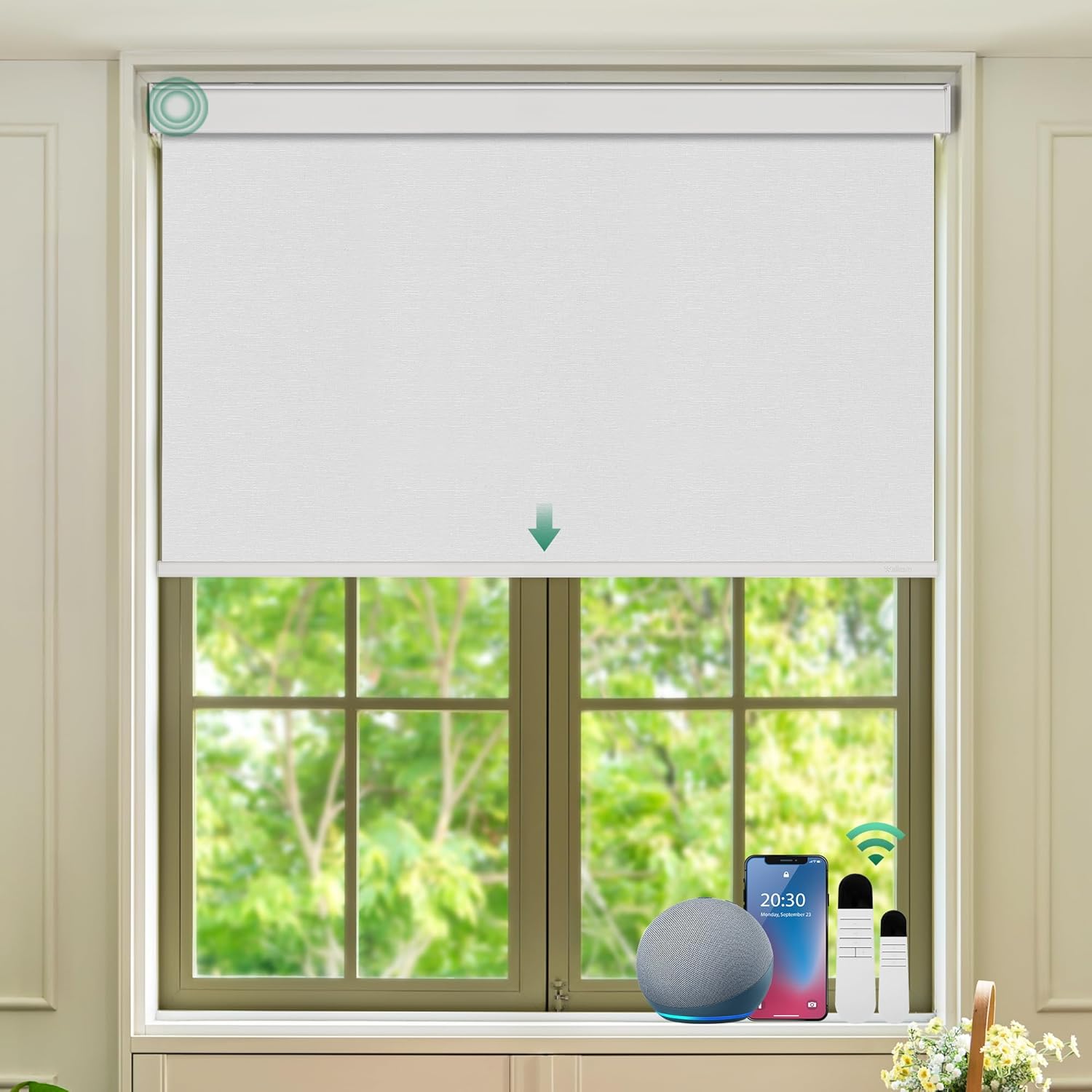 Allesin Motorized Roller Blinds...