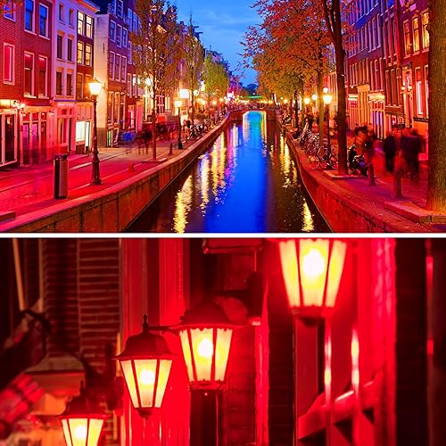 Miniatura 7 de Energetic - Bombilla LED Par38 roja para exteriores, 16 W (equivalente a 90 vatios), regulable, base E26, para Navidad, Halloween, decoración de