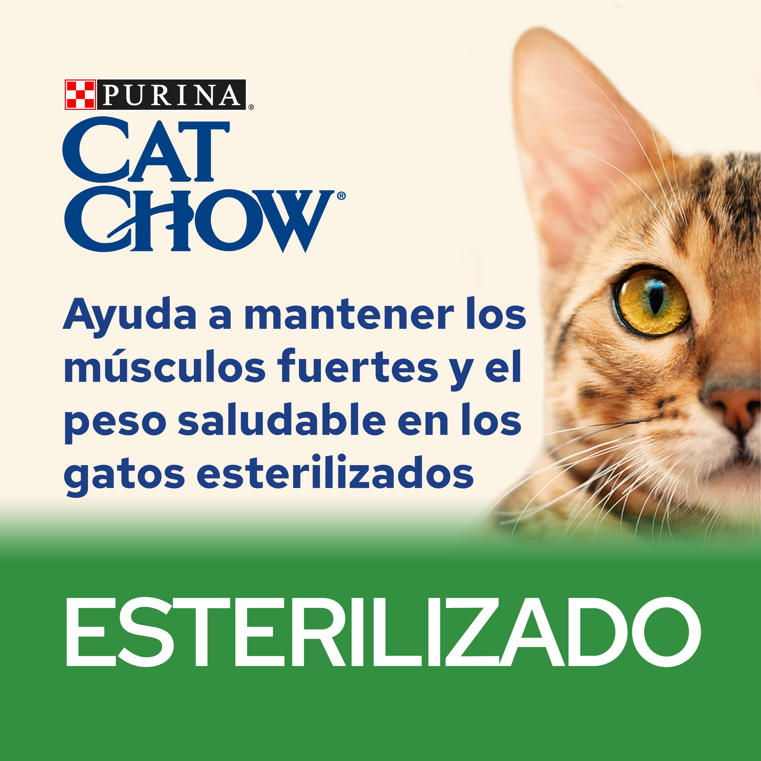 Purina Cat Chow Karma dla kota sterylizowana dla dorosłych z kurczakiem, 6 worków 1,5 kg