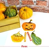 Pentel Oil Pastels - Set 50 – view 10