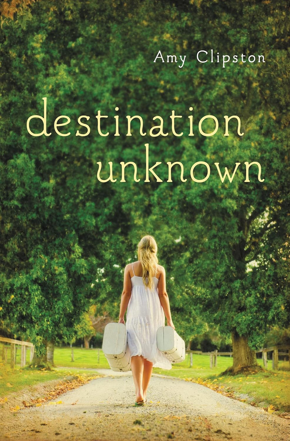 Destination Unknown      Paperback – February 4, 2014