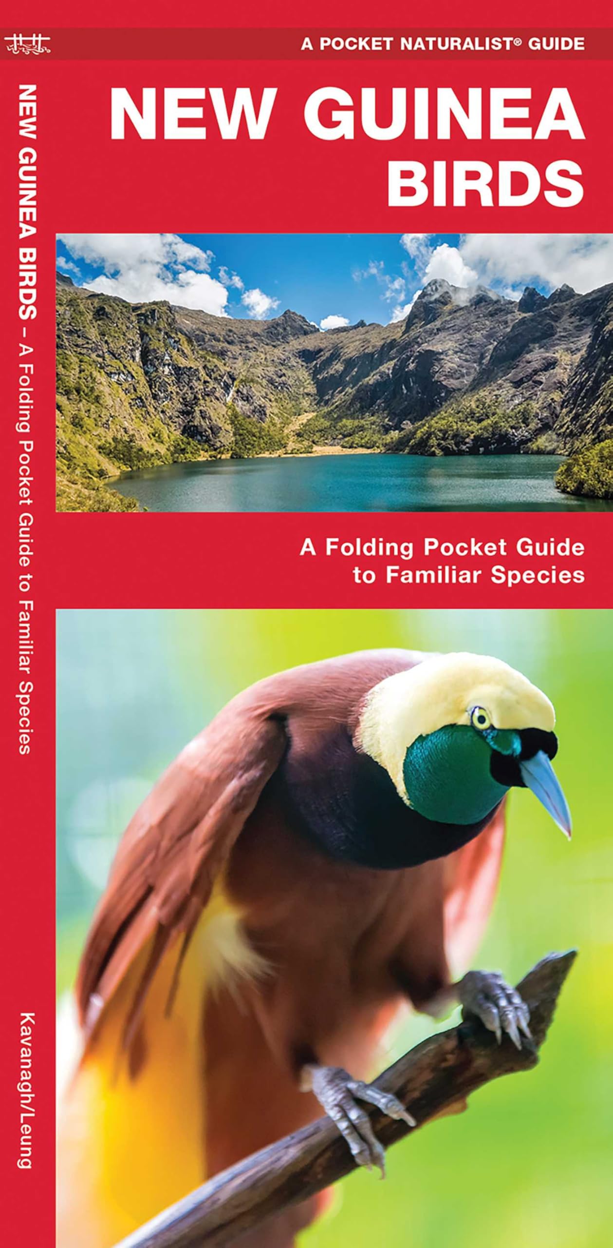 New Guinea Birds: A Folding Pocket Guide to Familiar Species (A Pocket Naturalist Guide)