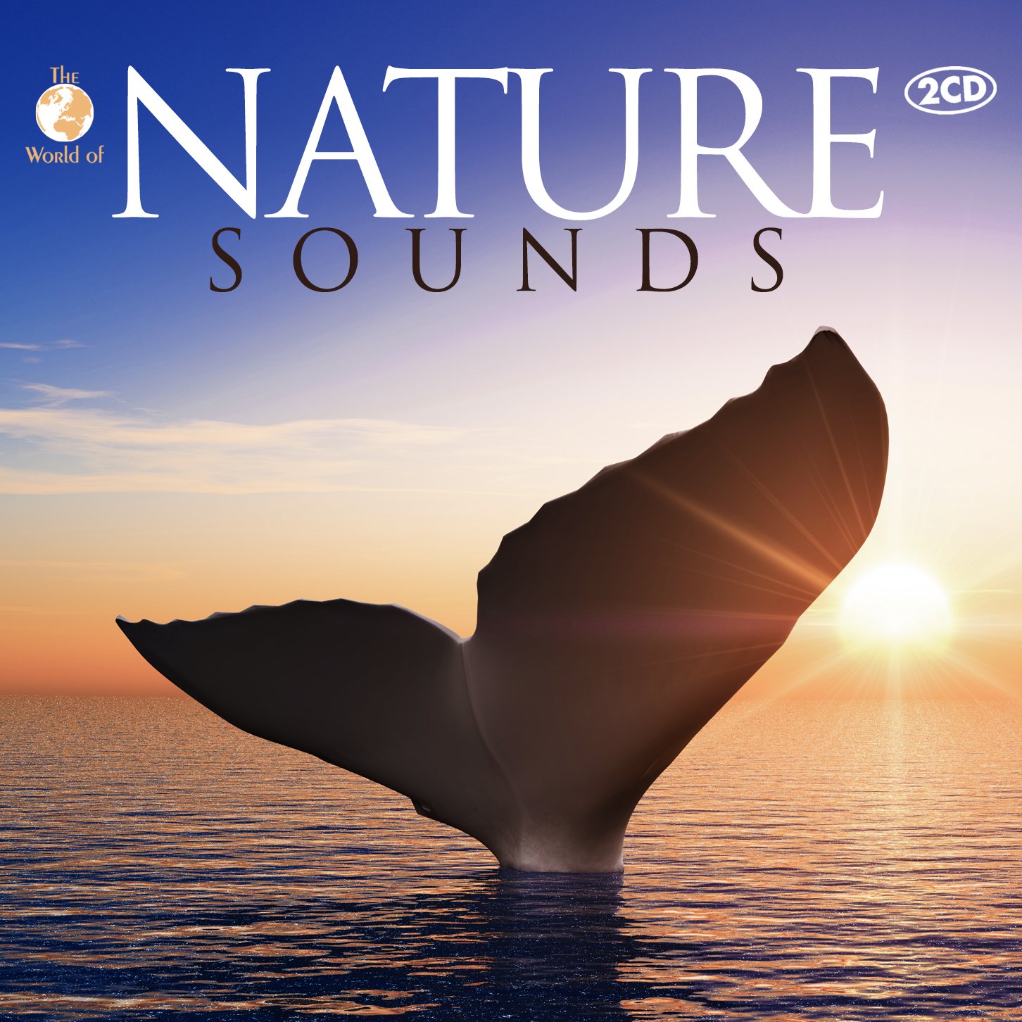 TAHI　3x2 nature sound Amazon.com: Sound Town ZETHUS Series 4 x 12” Powered 2-Way