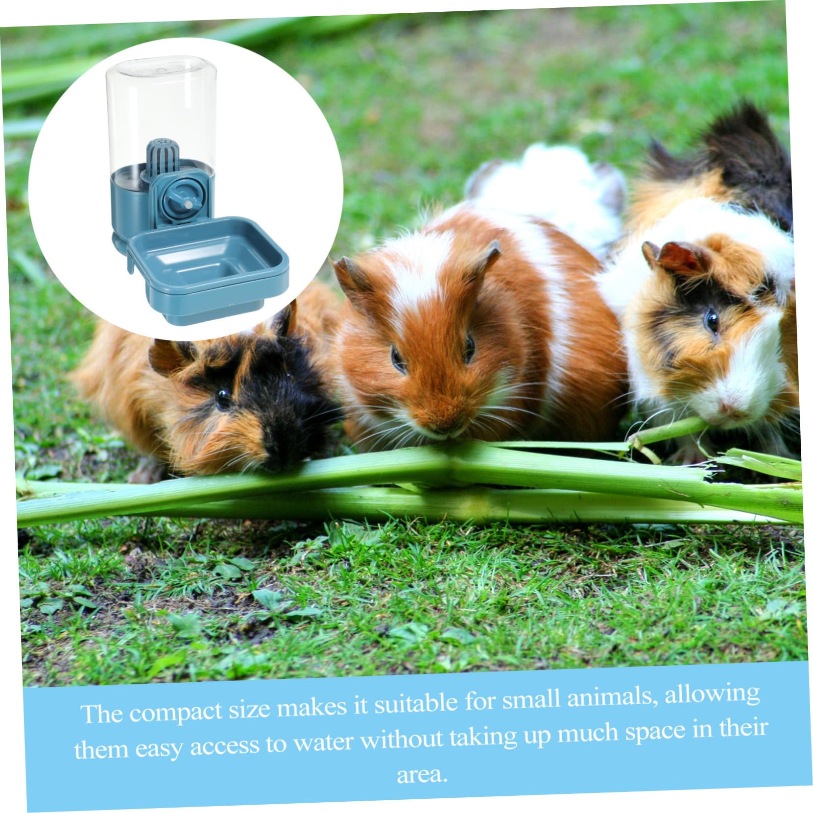 Mobestech Bevanda per Conigli Distributore D'acqua per Criceti Bottiglia D'acqua per Piccoli Animali Domestici per Conigli Mangiatoia per Gabbia Facile da Appendere e Pulire Utilizzo
