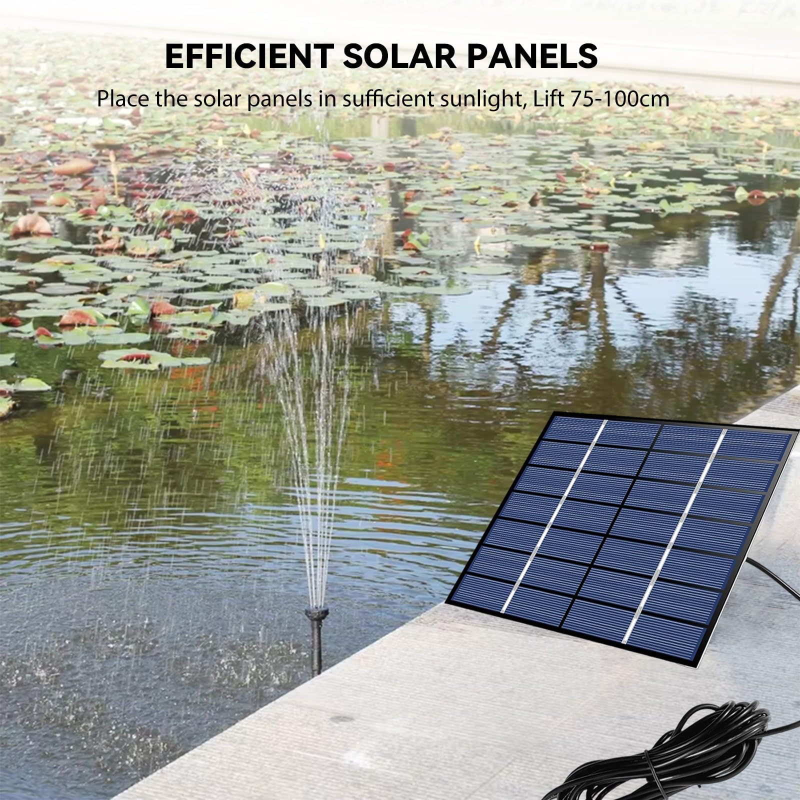 View 6