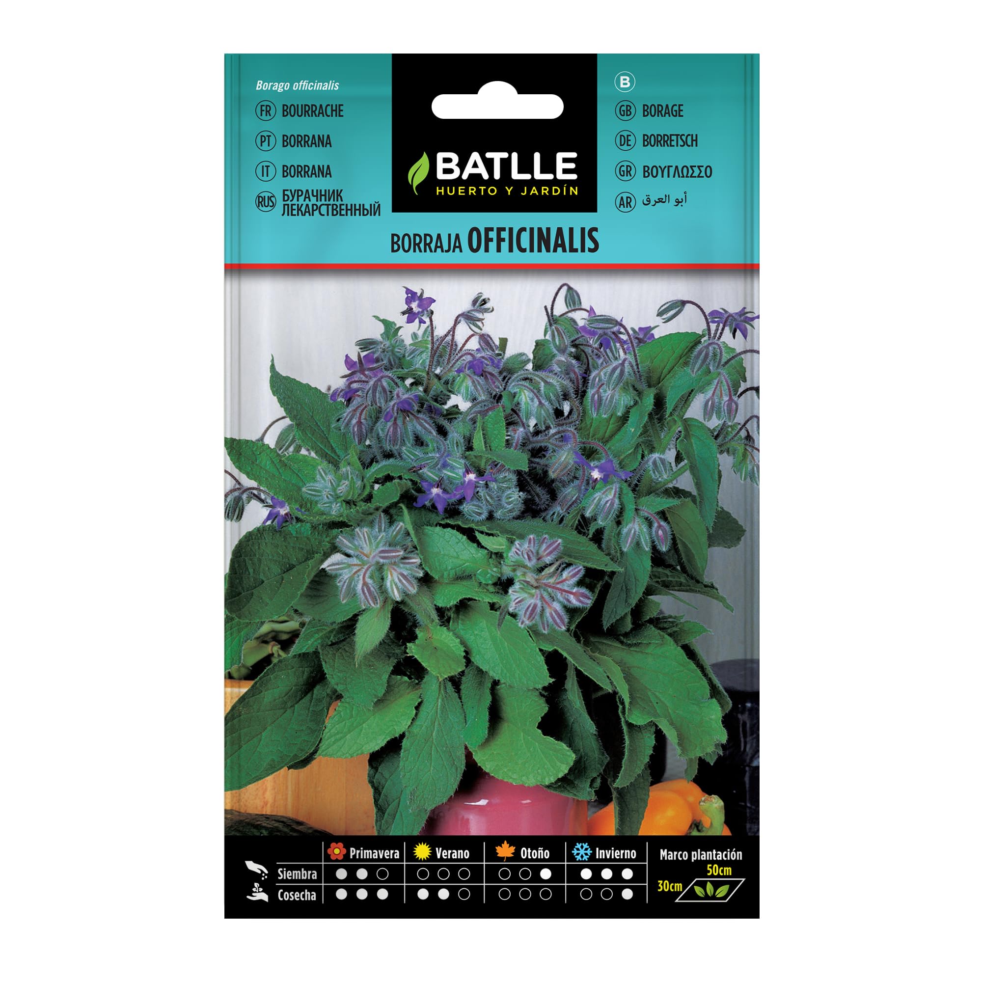 Semillas Batlle Officinalis 097330BOLS Nasiona Ogórecznika