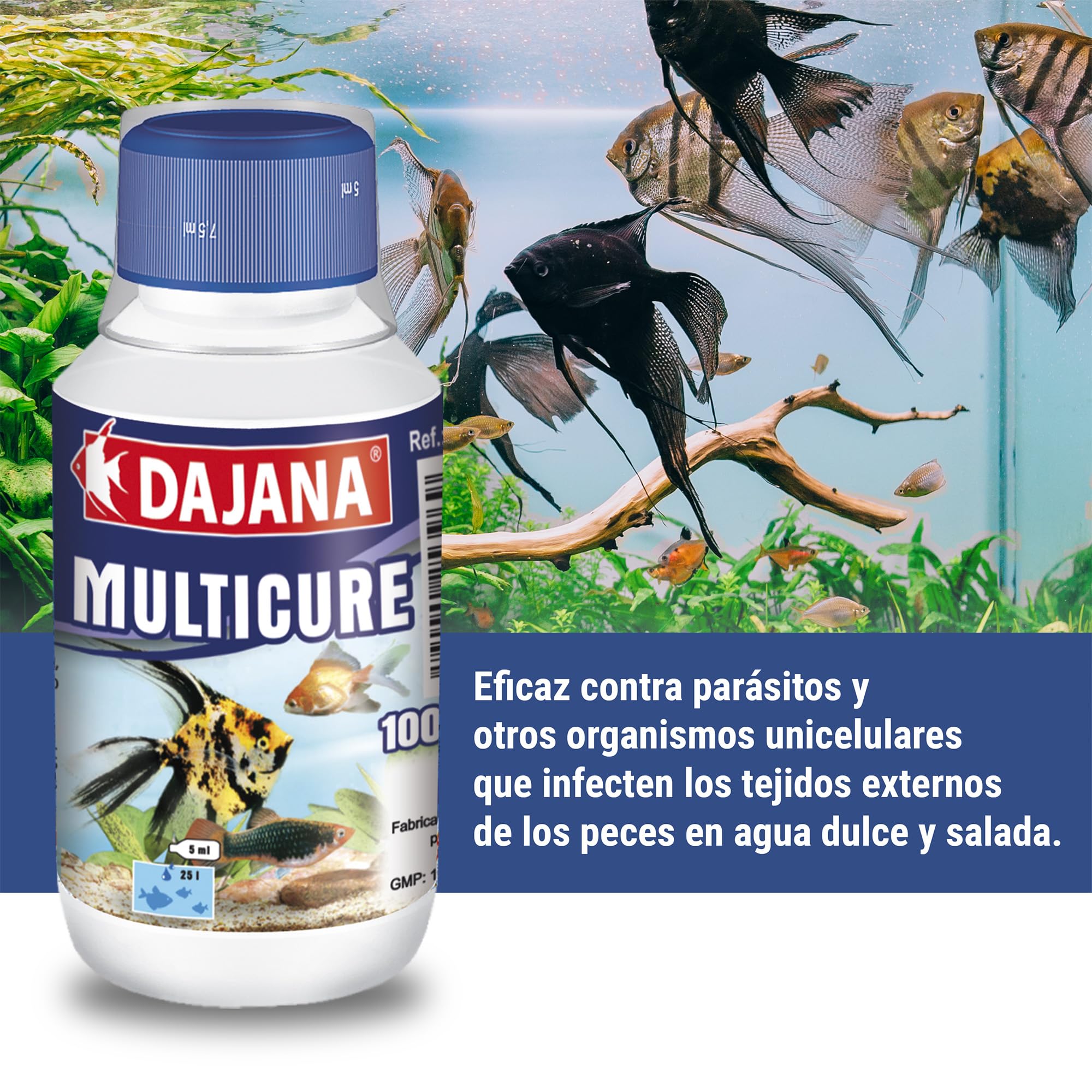 Dajana Multicure Tratamiento para Peces de Amplio Espectro contra Hongos, Parásitos Externos y Leves Infecciones Bacterianas, para Acuarios de Agua Dulce y Salada, 1L