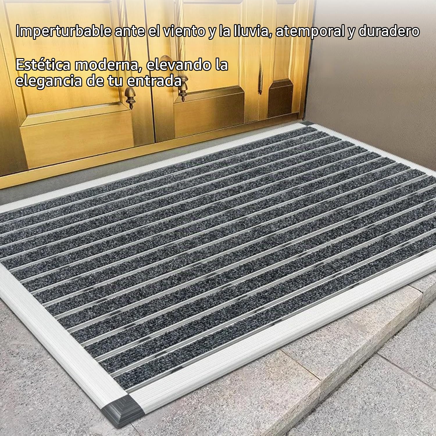 Felpudo De Aluminio 60 x 40 Cm,Puerta Principal Felpudo con Goma,Alfombrilla Entrada,Exteriores y Colector De Suciedad Interior,Rascador De Zapatos,Alfombrilla Entrada,Plateado y Gris