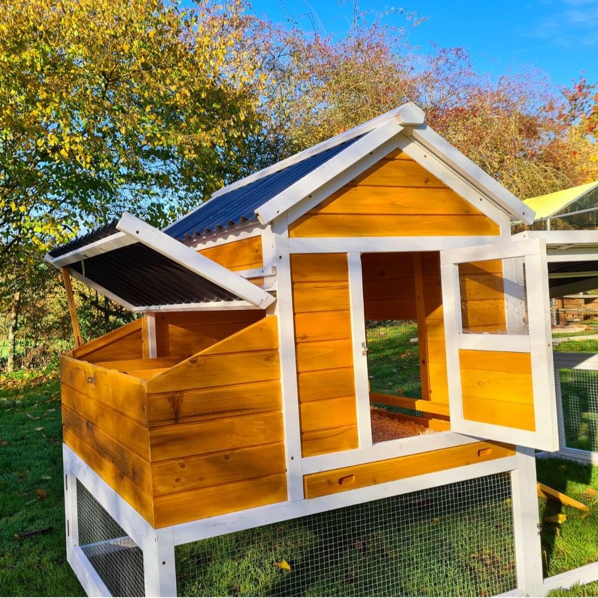 Animal Valley Gallinero de techo reforzado 2,36 x 1,1 x 1,24 m para 6-8 gallinas