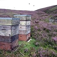 Vista 6 de Mellis Scottish Blossom Honey, tarro de 12 onzas