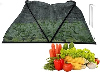 植物カバー | 動物からのガーデン植物保護,折りたたみ式再利用可能なイチゴトマト用保護ドーム バルコニーパティオ温室