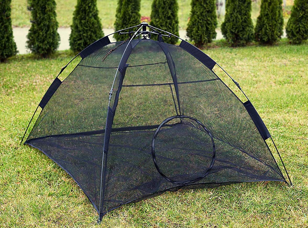 cat tent for outside