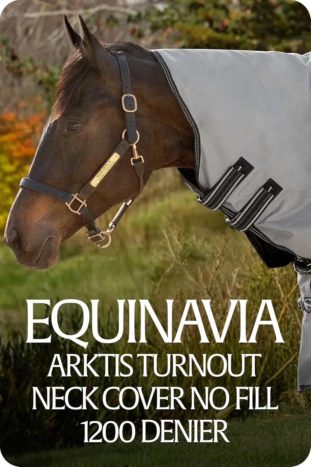 Equinavia Arktis Turnout Neck Cover No Fill | 1200 Denier - Carbon Gray - L