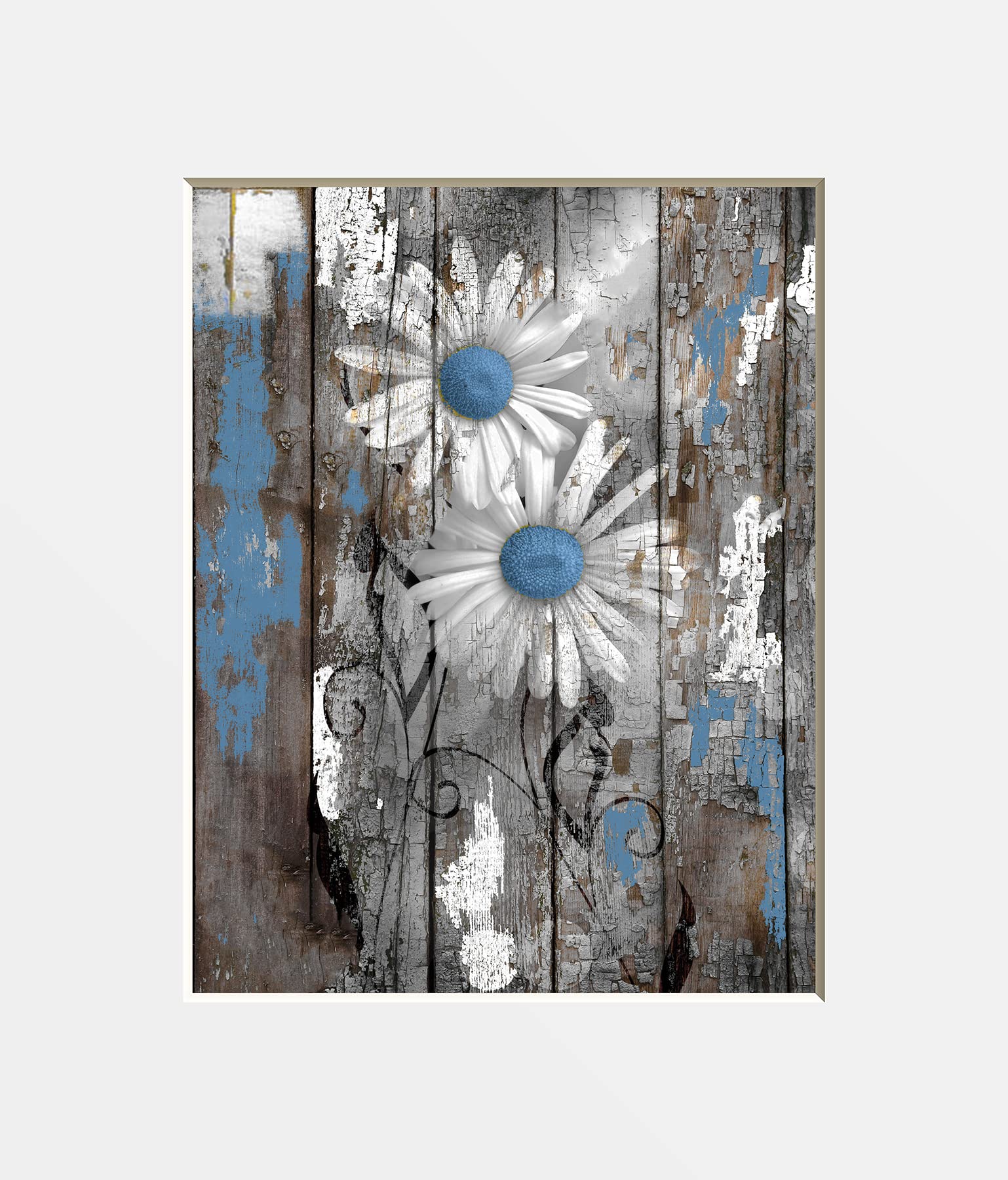 Blue Rustic Daisy Flowers Photography Bedroom Bathroom Home Decor Matted Wall Art Picture (8x10 photo with 11x14 mat)