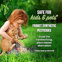 Vista 6 de Mighty Mint - Aerosol repelente de insectos y plagas para arañas, hormigas y más, menta, de 16 onzas