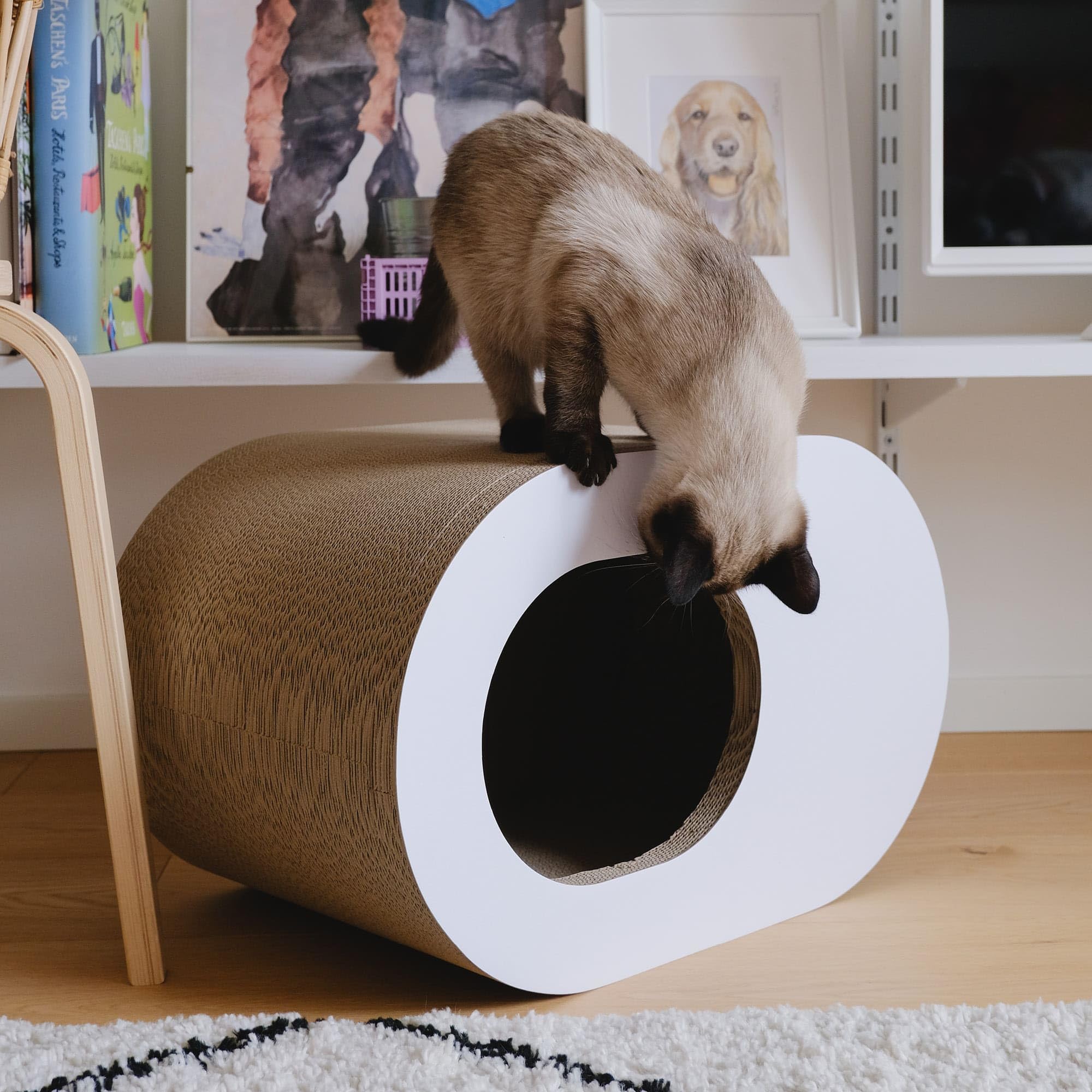 LucyBalu® PAPERCAVE Katzenhöhle aus Kratzpappe – Weiß | Höhle und Kratzmöbel in einem, aus recycelter Pappe, robust, umweltfreundlich