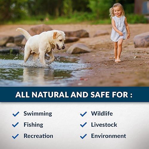 Miniatura 4 de Pond Logic MuckAway