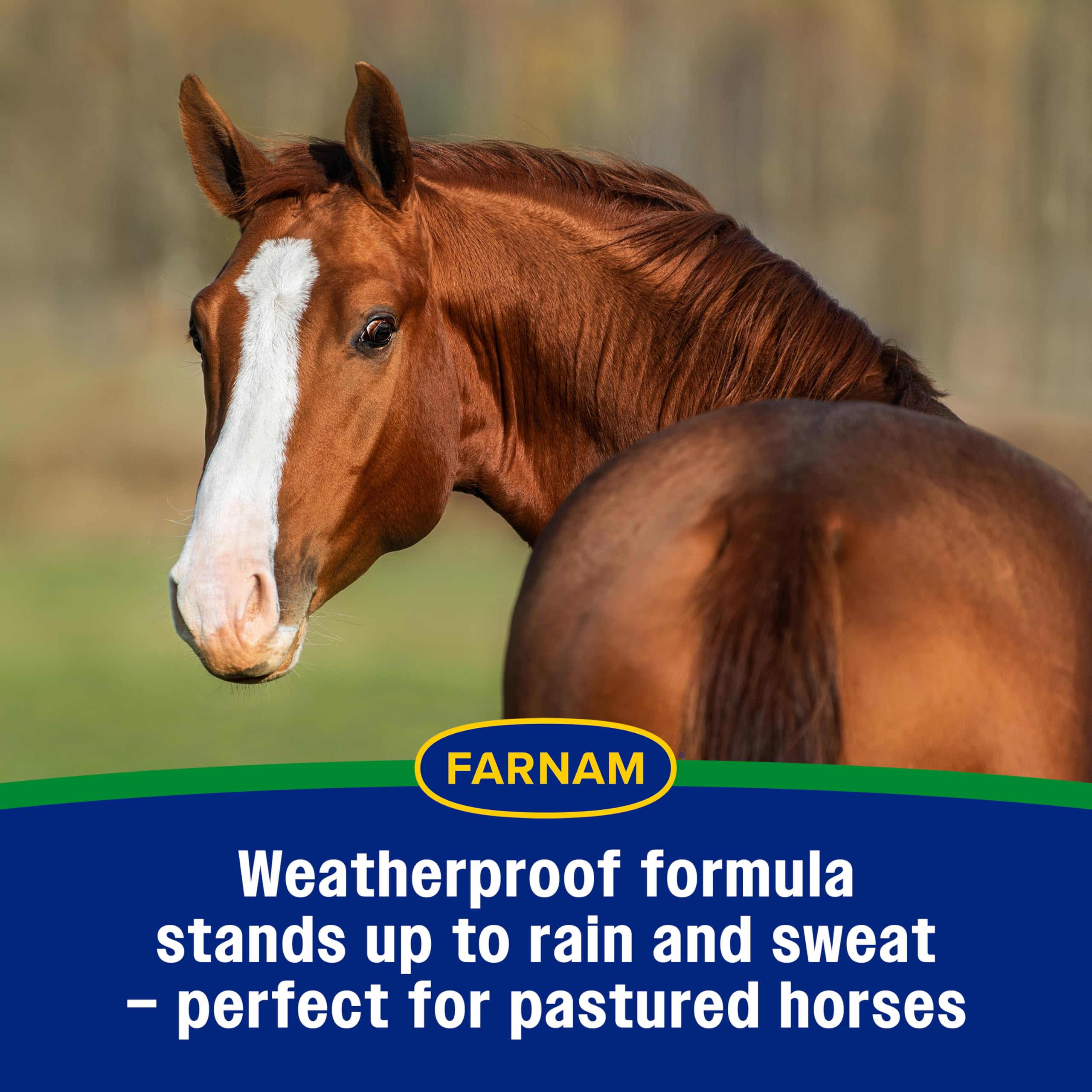 Farnam Equi-Spot, Horse Fly Control, Long-lasting Protection, 6 Applications, 12-Week Supply for One Horse - image 6