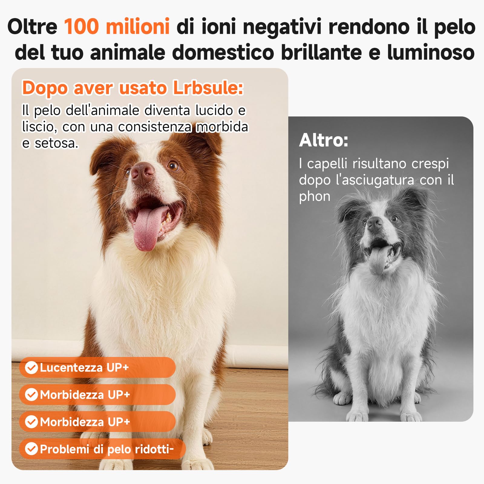 Soffiatore per Cani Blower, Asciugatore per Cani a velocità Regolabile - con modalità Caldo/Freddo, Phon Cane con 3 Diversi Ugelli per Uso Privato e Professionale