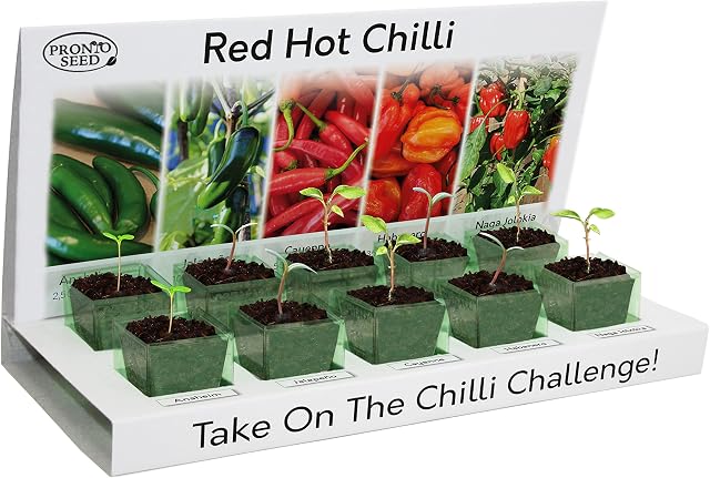 Pronto Seed Grow Your Own Chilli Plant at Home Eco Grow Kit, 5 Seed Varieties of Easy to Grow Chillies, Cayenne, Habanero, Jalapeno, Naga, and Anaheim, Gardening Gifts for Women and Men