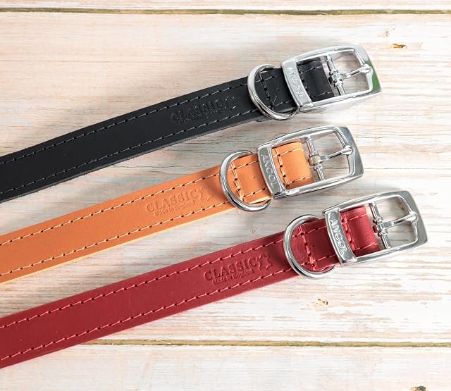Foto 5 de 7 de Collar Personalizado de Cuero para Perros