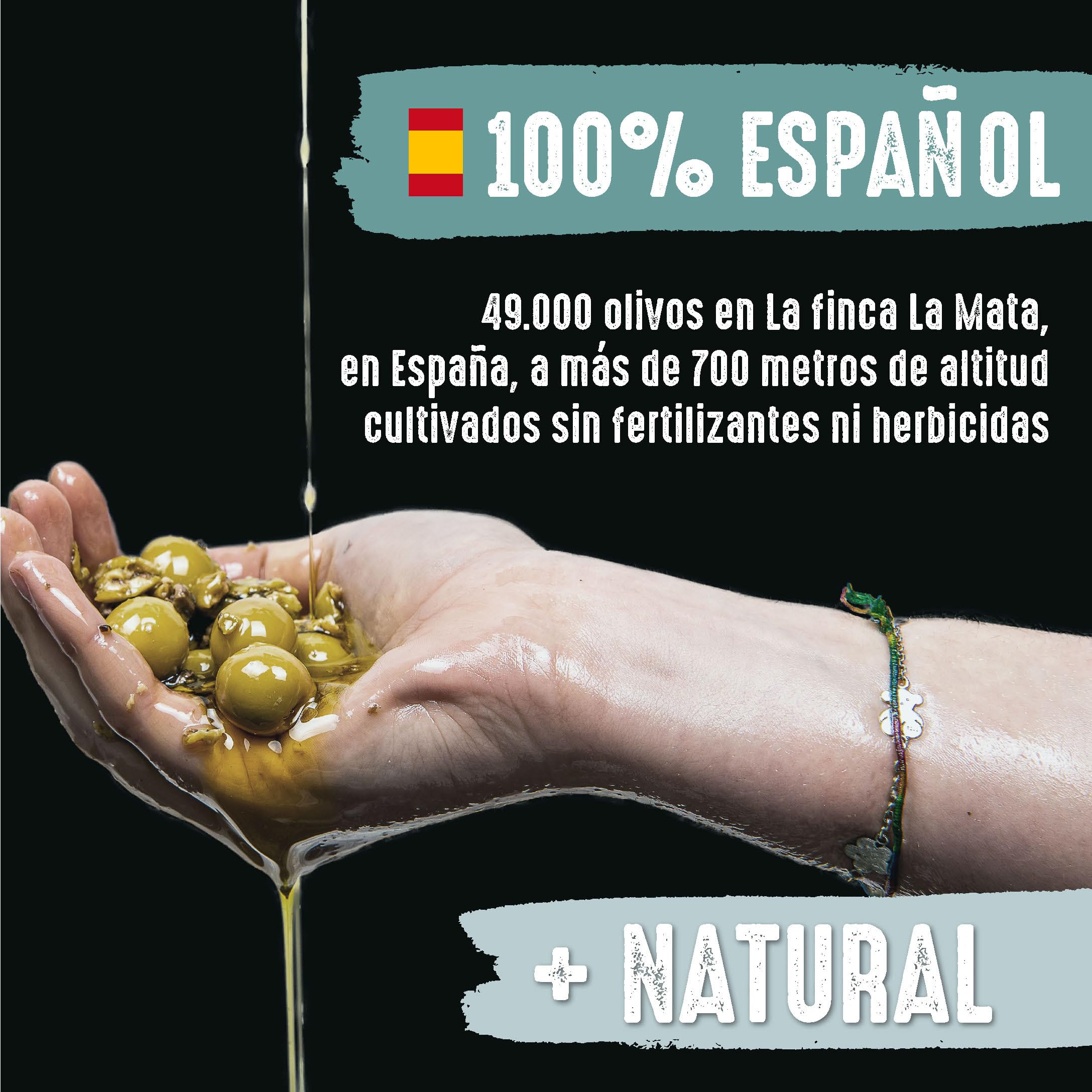 NOMBRE PROPIO Aceite de Oliva Virgen Extra Ecológico. 100% Español - Formato Bag in Box, 3L (Picual+ Arbequina). Rico en polifenoles. Certificación Europea. Aceite de oliva 3 litros. AOVE Arbequina.