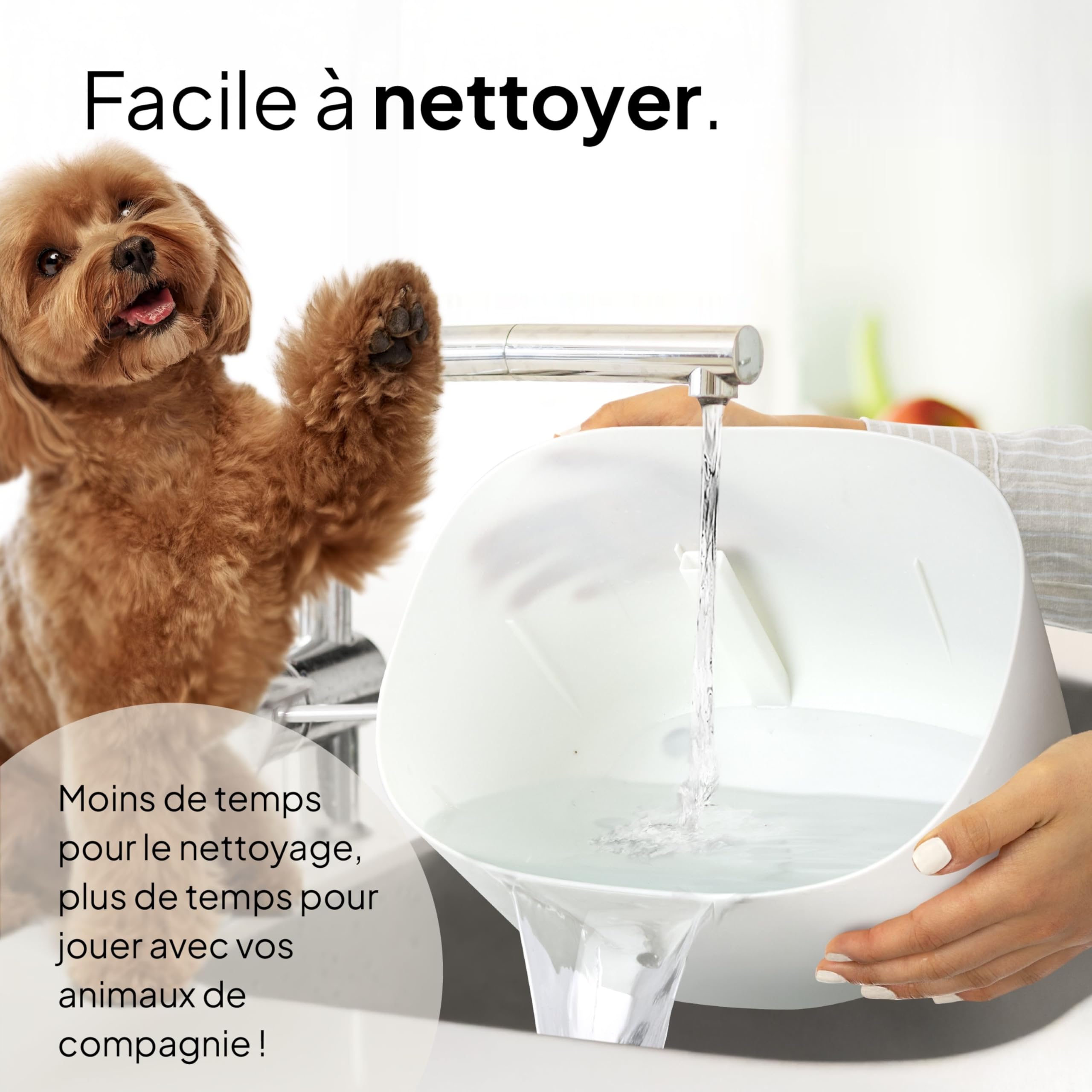 Pretty Paw Fontaine à Eau Chien 7L Grande Capacité - Filtration Charbon Actif, Circulation Continue, Indicateur LED, Distributeur d’Eau pour Chiens et Chats - Dog Stream (Blanc)