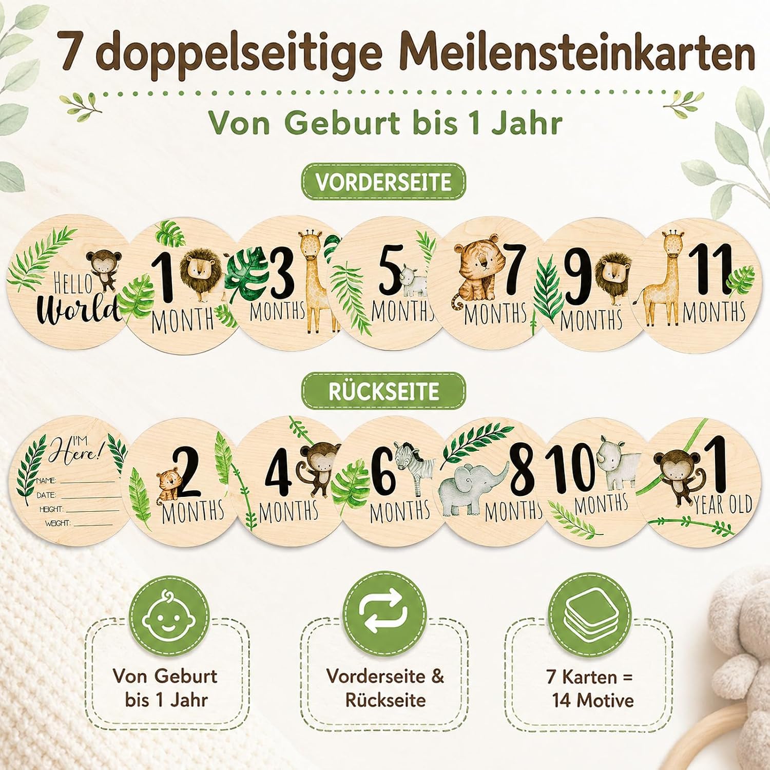 Vue 4