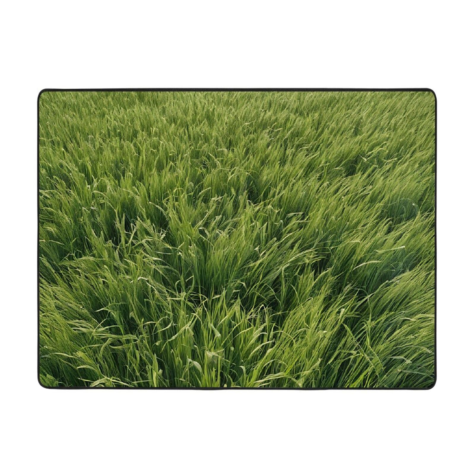 Tapis doux antidérapant et anti-glisse pour salon moderne